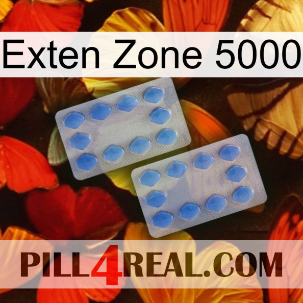 Exten Zone 5000 20.jpg